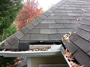 Roof Damage