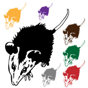 Acworth Best Rat Removal Tips